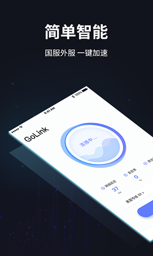 golink加速器国内版