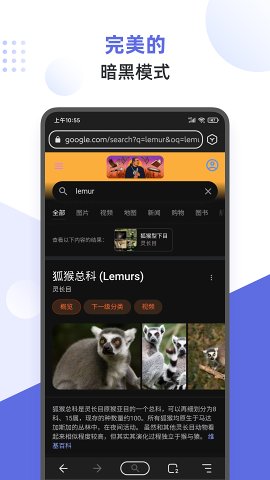 lemur狐猴浏览器