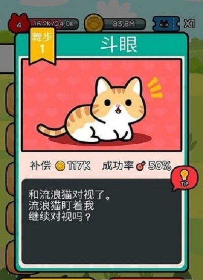 收养一只流浪的猫安卓版