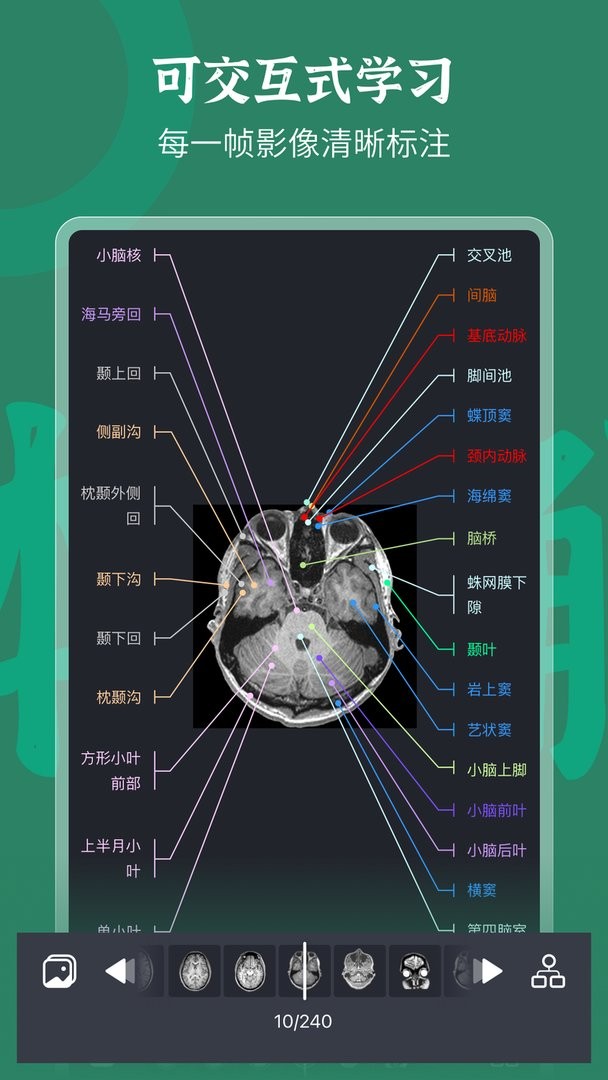 万康人体解剖安卓版